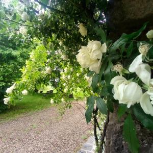 Gallery image of Casale Sambuceto in Compiano