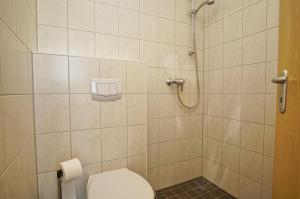 a bathroom with a toilet and a shower at Villa Vogelblick Haushälfte 2 in Vaschvitz +24 photos