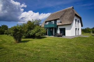 a house with a thatched roof on a field at Villa Vogelblick Haushälfte 2 in Vaschvitz