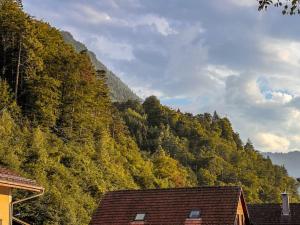 a mountain with trees and houses in front of it at City Center View Apartment 2 in Interlaken