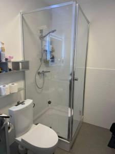 a bathroom with a shower and a white toilet at Ferienwohnung Filli mit Sauna und Pool im Haus in Prien am Chiemsee