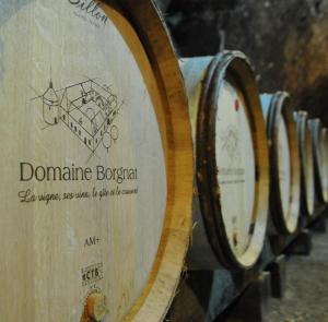 Photo de la galerie de l'établissement Domaine Borgnat, à Escolives-Sainte-Camille