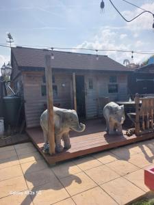 Galeriebild der Unterkunft Nest Guesthouse in Margate