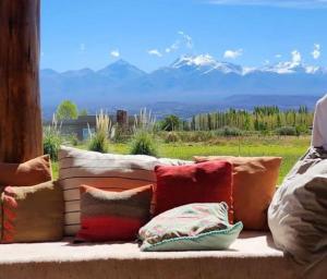 巴雷阿尔Rancho de Ansilta的一张放着枕头的沙发,可以欣赏山景
