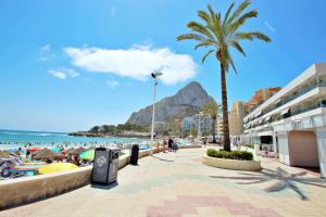 plaża z palmą i górą w tle w obiekcie Xavier - oceanfront apartment with sea views in Calpe w mieście Calpe