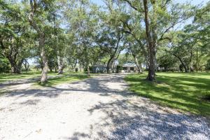un chemin de terre dans un parc arboré dans l'établissement Birdsong Cottage, à Freeport