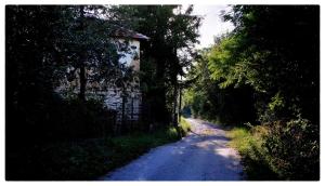 Příroda nedaleko apartmánu