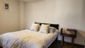 Postel nebo postele na pokoji v ubytování Apartamento Nuevo Central Piso 7 Terraza privada