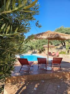 two chairs and an umbrella next to a swimming pool at Villa Finca el Carril in Vélez de Benaudalla