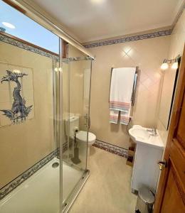 a bathroom with a shower and a toilet and a sink at CASA da VILLA STUDIO in Sintra