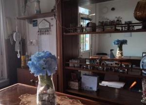 a vase with a blue flower on a table in front of a mirror at Pensión Atlántico in Muxia