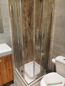 a bathroom with a shower with a toilet and a sink at Al-Xelb guesthouse in Silves