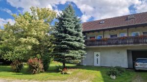 Сад в Agroturystyka Nad Cichą