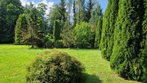 Сад в Agroturystyka Nad Cichą