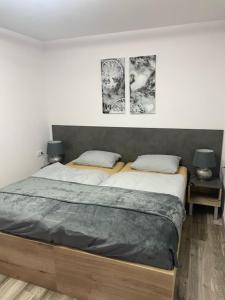 a bedroom with two beds and two pictures on the wall at Rado Apartments in Jezersko
