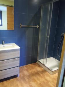łazienka z prysznicem i umywalką w obiekcie Habitación con baño cambados w mieście Pontevedra
