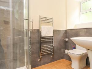 un bagno con doccia, WC e lavandino di The Cottage a Pwllheli Altre 24 foto