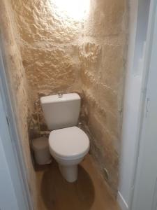 a bathroom with a white toilet in a brick wall at La Maison Haute in Nailhac +12 photos