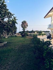 a grassy yard next to a building with palm trees at SaDomoSicula UJazzu in Ragusa