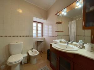 a bathroom with a toilet and a sink and a mirror at Casa dos Cabencos in Terras de Bouro +28 photos