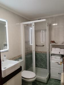 a bathroom with a shower and a toilet and a sink at Casa Ferino in Villaviciosa