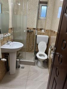 a bathroom with a toilet and a shower and a sink at Pensiunea Balea in Cîmpeni +31 photos