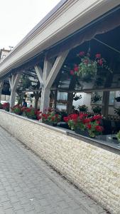 a building with potted plants on the windows at Pensiunea Balea in Cîmpeni