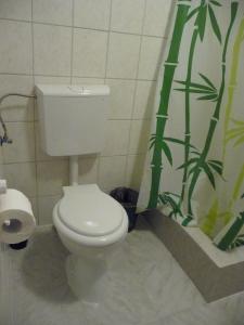 Koupelna v ubytování Casa Albac