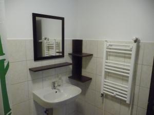 Koupelna v ubytování Casa Albac