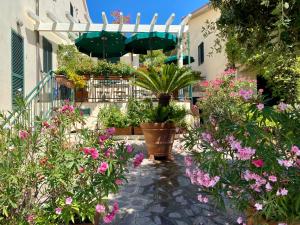 Сад в Belvedere Residenza Mediterranea