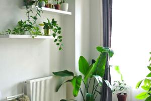 Fotografie z fotogalerie ubytování Dohany Design Apartments v Budapešti