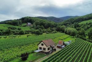 an aerial view of a house in the middle of a vineyard at DANDELION Bed & Breakfast in Ribeauvillé