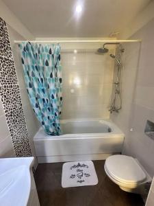 Koupelna v ubytování Pirin Sky + 22 fotografií