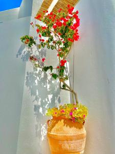 Gallery image of Anita Rooms & Suites Milos in Adamas +66 photos