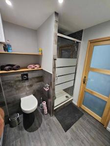 a bathroom with a toilet and a walk in shower at Le clapotis des flots in Calais