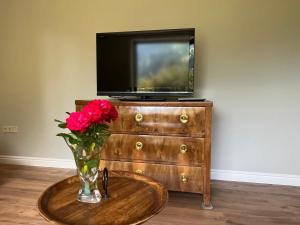 TV a/nebo společenská místnost v ubytování Landhaus Steinwender Wohnung Biedermeier + 18 fotografií