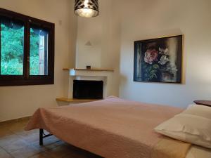 a bedroom with a bed and a fire place at Miression Pelion House in Mouresi +41 photos