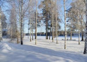 a snow covered park with trees and a body of water at TAHKOn Riihiranta - 4 bedroom villa by the lake - Tasokas tilava rantamökki in Tahkovuori