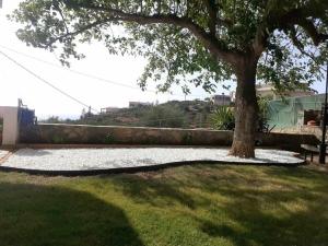 un árbol sentado en medio de un patio en Villa Thea, en Sísion