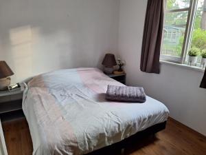 a bedroom with a bed with a pillow on it at Luxe 5 pers chalet natuurlijk gelegen in IJhorst +6 photos