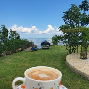 a cup of coffee sitting on top of a table at Poarta Apelor in Sarichioi