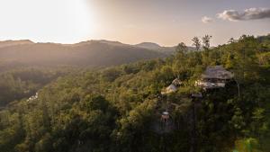 an aerial view of a resort in the middle of a forest at Gaia Riverlodge in San Ignacio