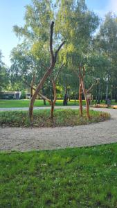 a group of trees sitting in a park at City Park Appartement in Nitra