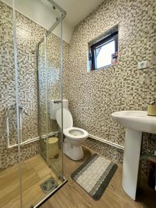 een badkamer met douche, toilet en wastafel bij Highlander villas in Žabljak