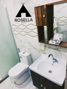 a bathroom with a white toilet and a sink at ROSELLA Wadi Rum in Disah