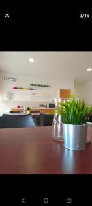 a plant in a vase on a wooden table at Albergue de Lújar in Lújar +38 photos