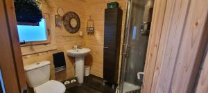 a bathroom with a toilet and a sink and a shower at New 2 bed Lodge near Dunoon on the Shore Front in Dunoon
