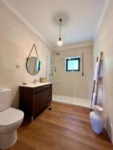 a bathroom with a toilet and a sink and a shower at Casa de Fráguas in Arouca