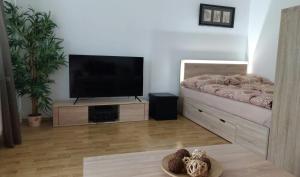 Μια τηλεόραση ή/και κέντρο ψυχαγωγίας στο Apartmán Na Rozhledně