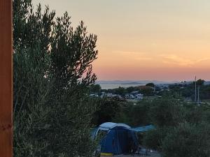 Fotografie z fotogalerie ubytování Mobile Home Vita v destinaci Drage